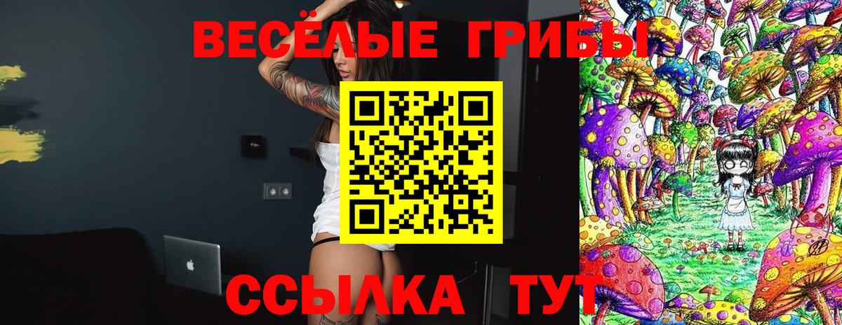 Псилоцибиновые грибы ЛСД  Вход с VPN  Ливны 