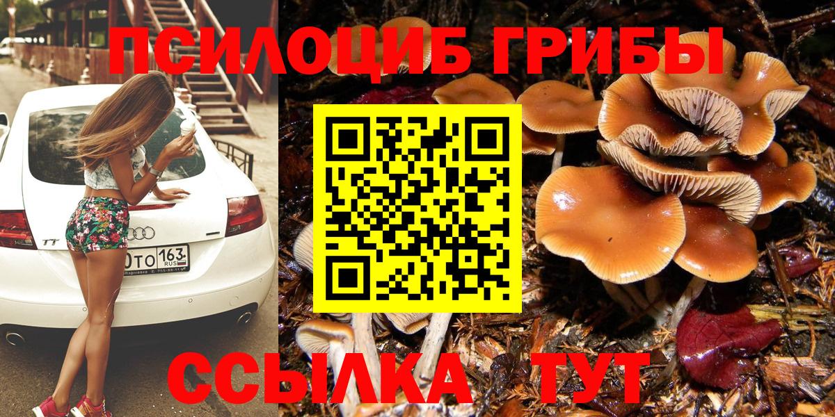 Псилоцибиновые грибы Cubensis Ливны